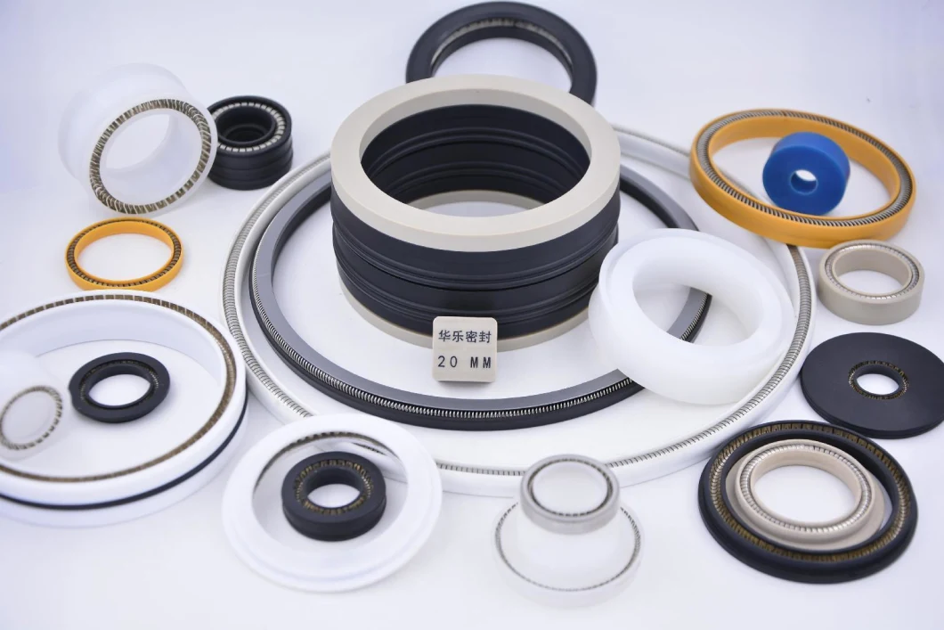 Walle Rotary Plunger Metering Pump Seals